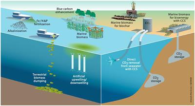 Navigating Potential Hype and Opportunity in Governing Marine Carbon Removal